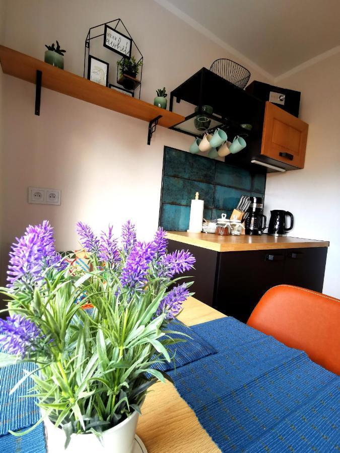 Na Wzgorzu Apartment Jelenia Gora